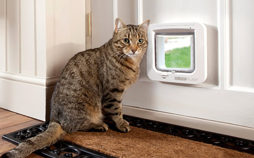 Cat at backdoor microchip cat door