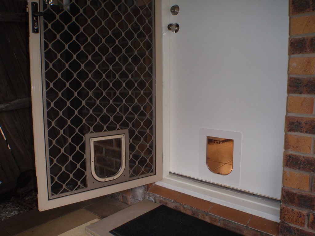 Large Dog Door For Wooden Door Installation - Sydney Pet Doors