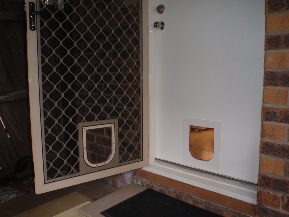 Small Dog Door For Wooden Door Installation Sydney Pet Doors