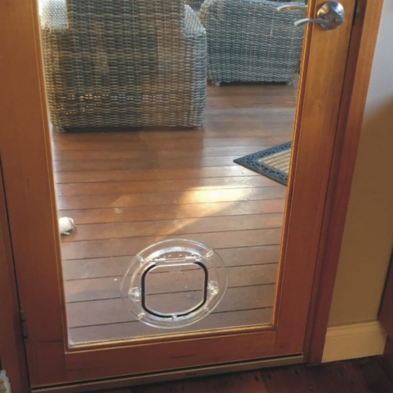 small cat door in glass door