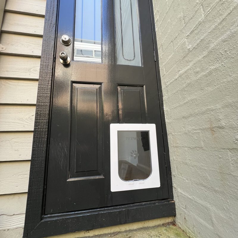 Medium Dog Door For Timber - Supplied & Installed