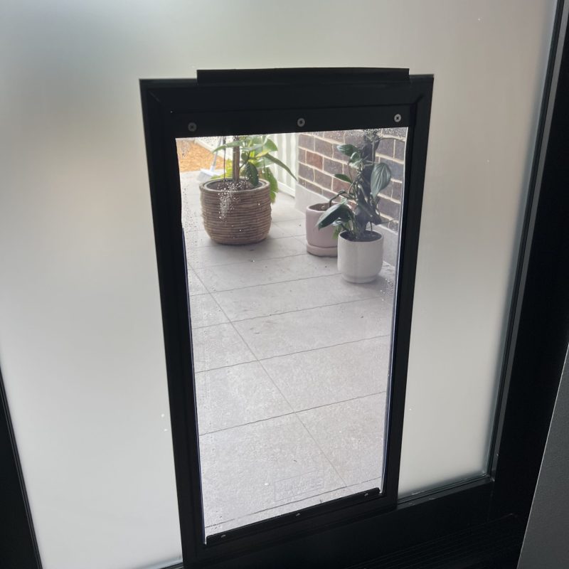 Super Large Dog Door For Timber - Supplied & Installed