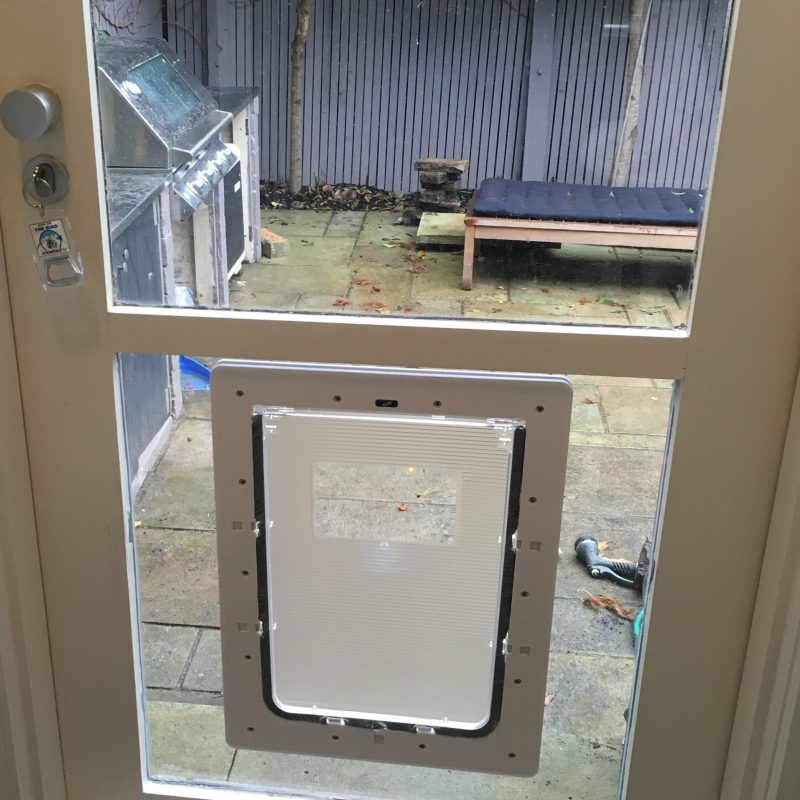Large dog door in glass
