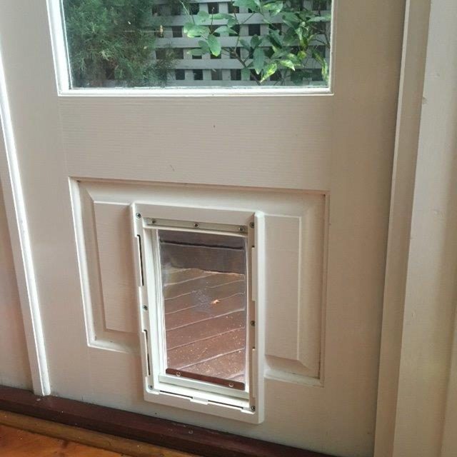 Dog Doors Australia Dog Door Installation Service Sydney Pet Doors