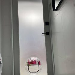 Pet door in a laundry back door