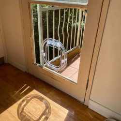 Pet door in glass door