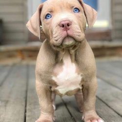 41991314_1144132275739892_6937936272690249728_n