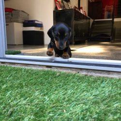 42778465_1151098011709985_6753600305025253376_n