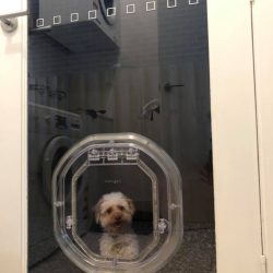 48391611_1205460569607062_1824894615812046848_n