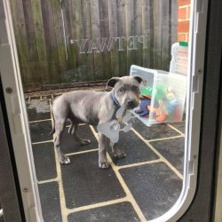 53245251_1259666720853113_8170118942023483392_n