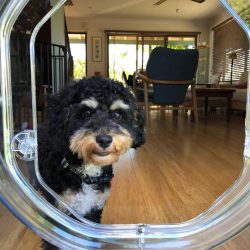 53293101_1259664284186690_7754400300005326848_n