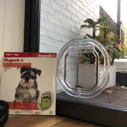 61038218_1314569828696135_3207185442952708096_n