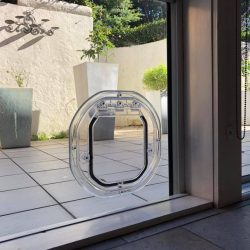 61177946_1319825981503853_2304898648984518656_n