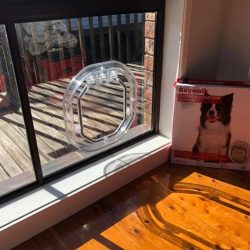 61494378_1319830714836713_4168140128679624704_n