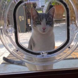 73225296_1474720556014394_4765774953788211200_n