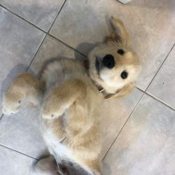 76918977_1474733386013111_7525566096036855808_n