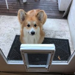 77003963_1474725399347243_1358926505698131968_n