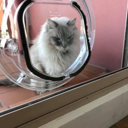 77313294_1474726242680492_2506783118581563392_n