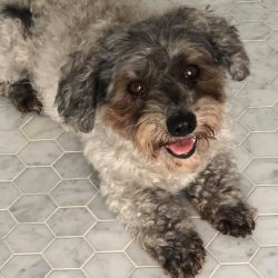 78041058_1474733766013073_5067885650628313088_n