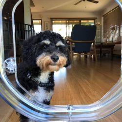 78238208_1474734369346346_4078913982696521728_n