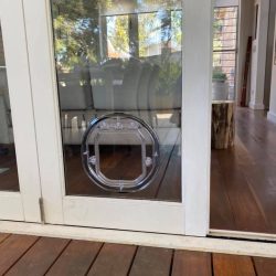 78433876_1488943931258723_3860835416219320320_n