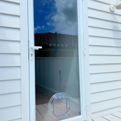 Pet door in glass door