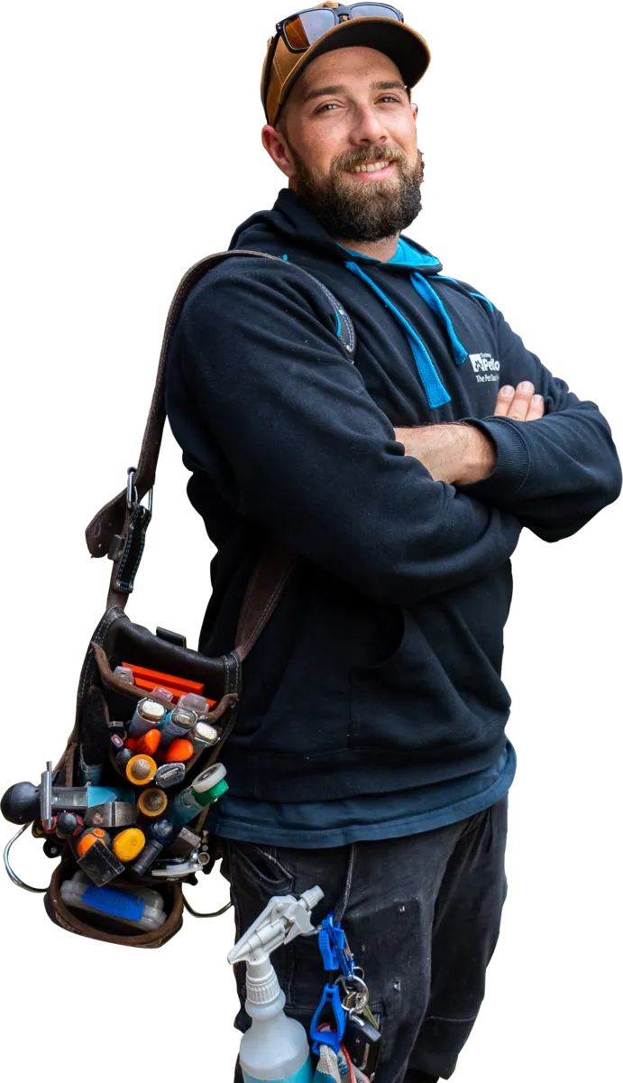 CLAY_v2