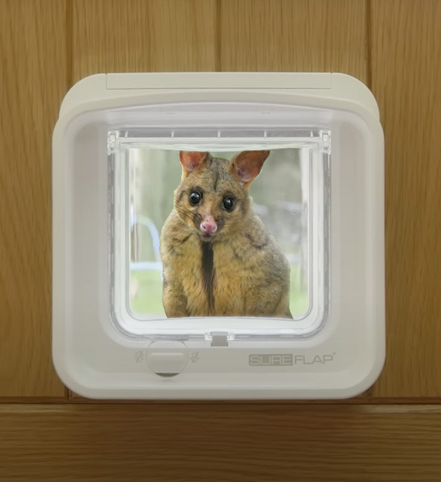 Prevent strays Desktop