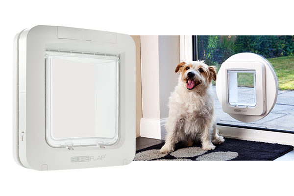 Curated visual reference: Fresh Look at Best Dog Doors 2025