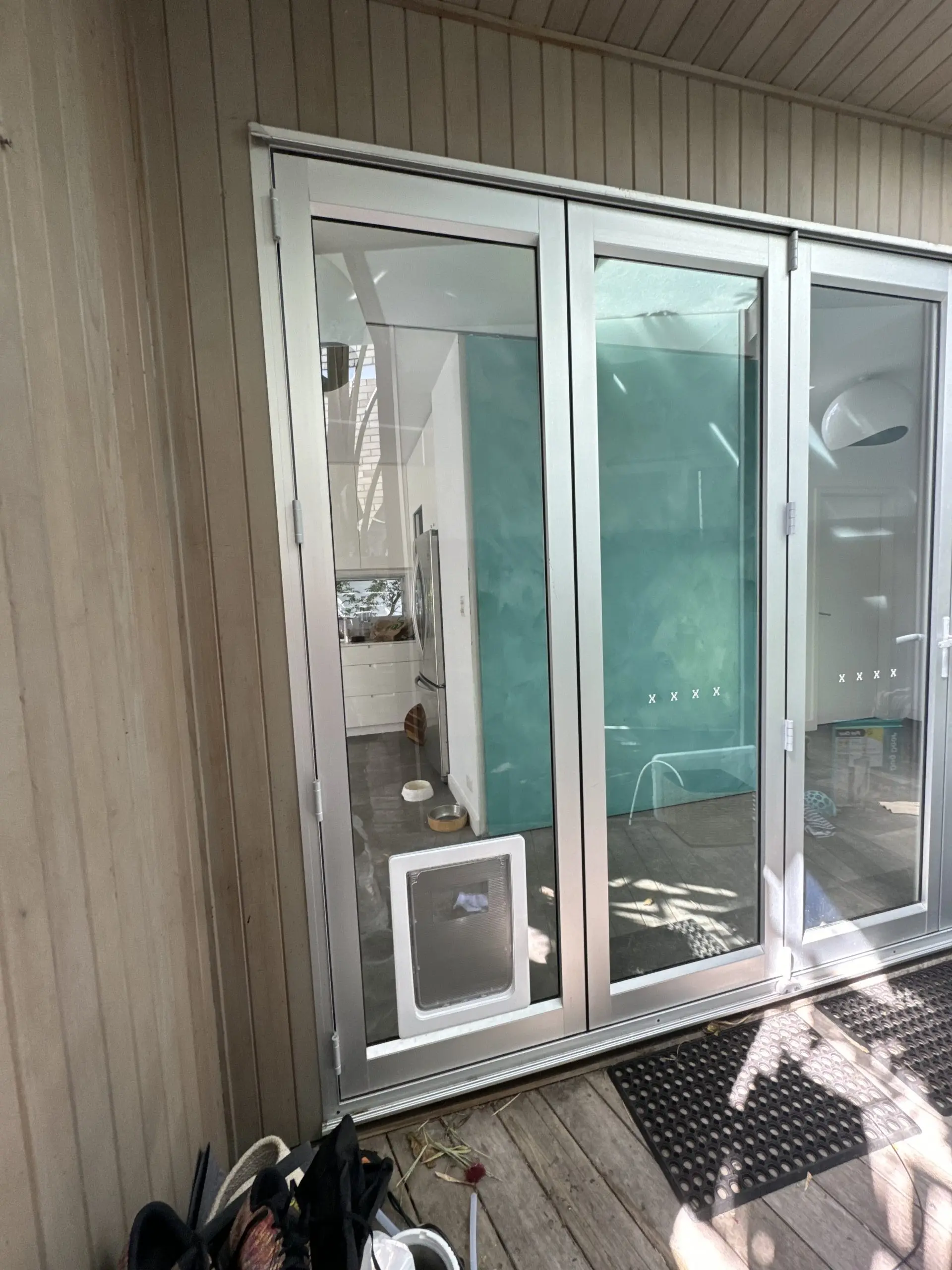 Large Dog Door Example