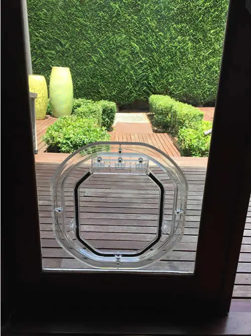 Medium Dog Door Example