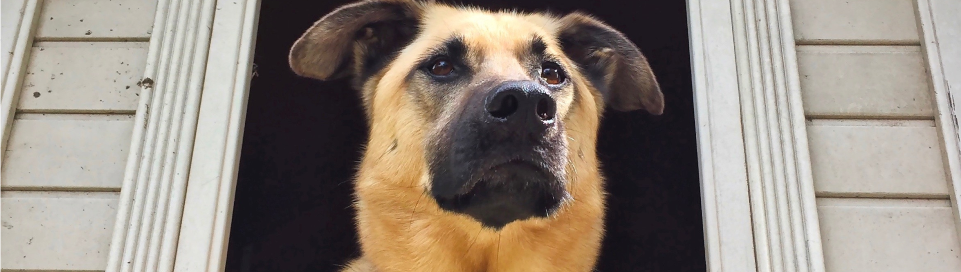 1920x544_MainImage-cold